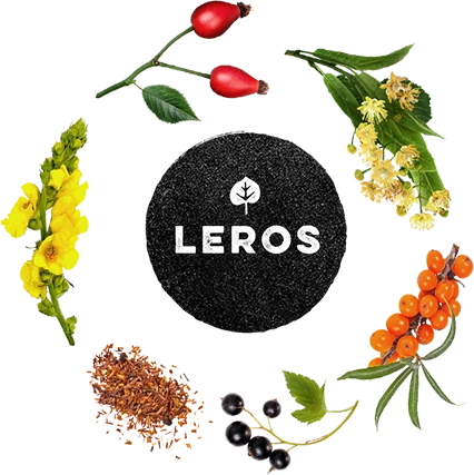 www.leros.cz