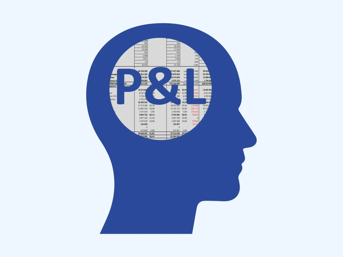 P&L = PROFIT AND LOSS STATEMENT V HOTELNICTVÍ